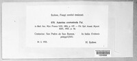 Image Associated With the Occurence